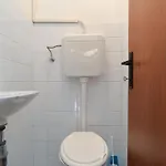 Vanga 533 Pula