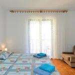 Vanga 533 Pula