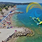 Vanga 533 Pula