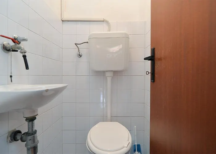 Vanga 533 Póla
