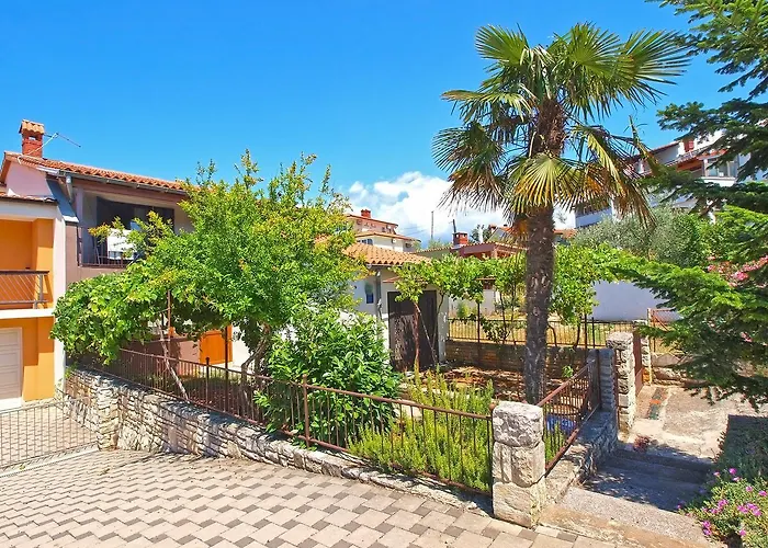 Apartman Vanga 533 Póla